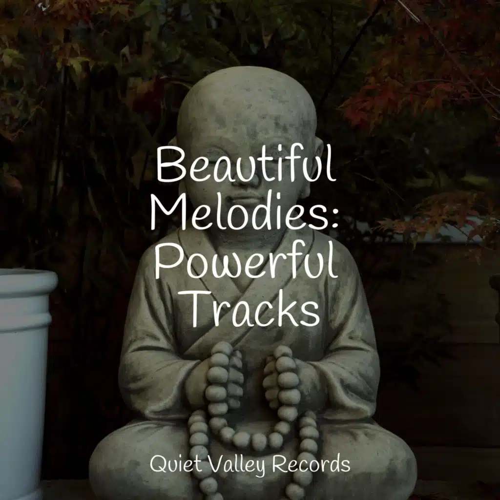 Beautiful Melodies: Powerful Tracks