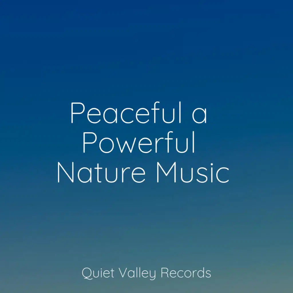 Peaceful a Powerful Nature Music