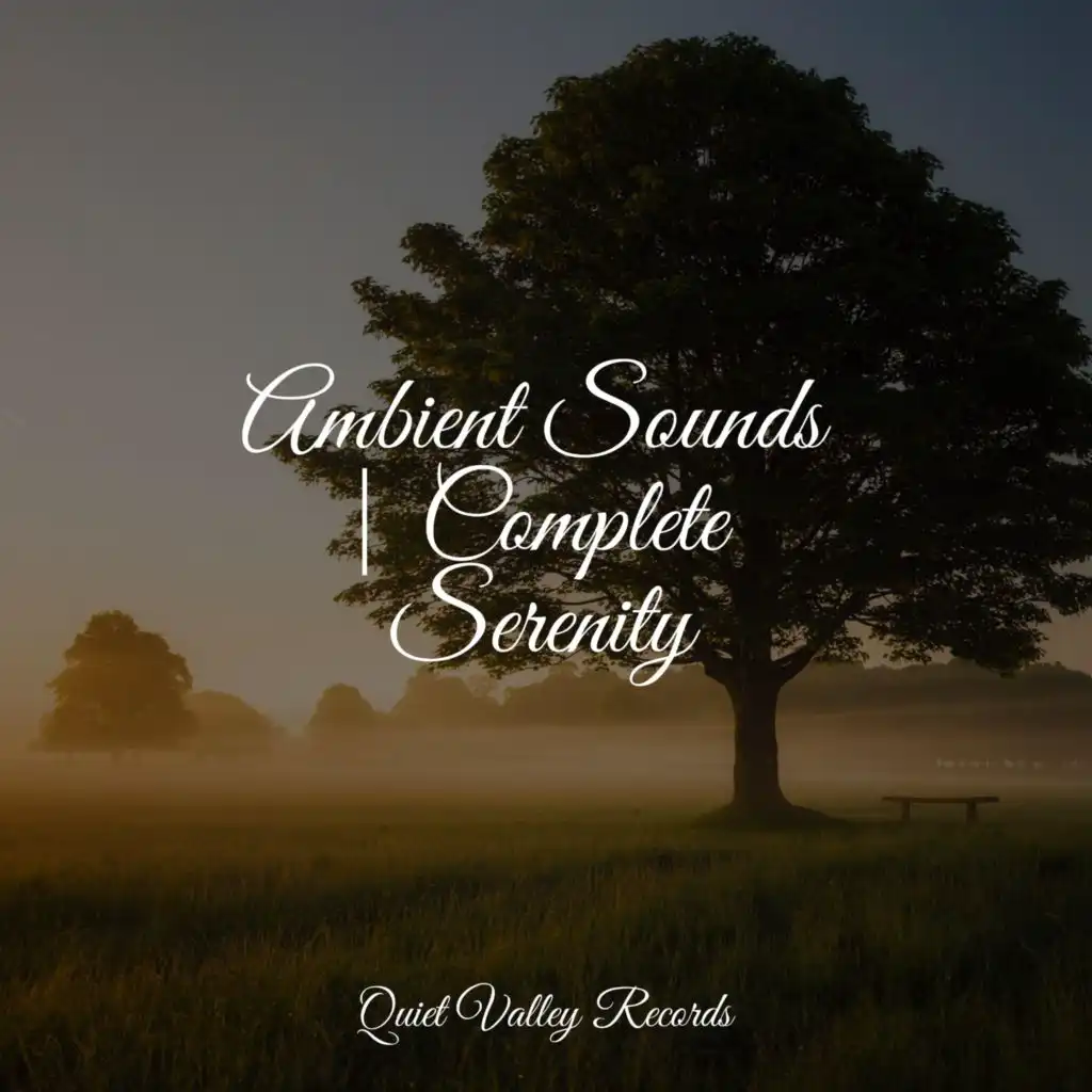 Ambient Sounds | Complete Serenity