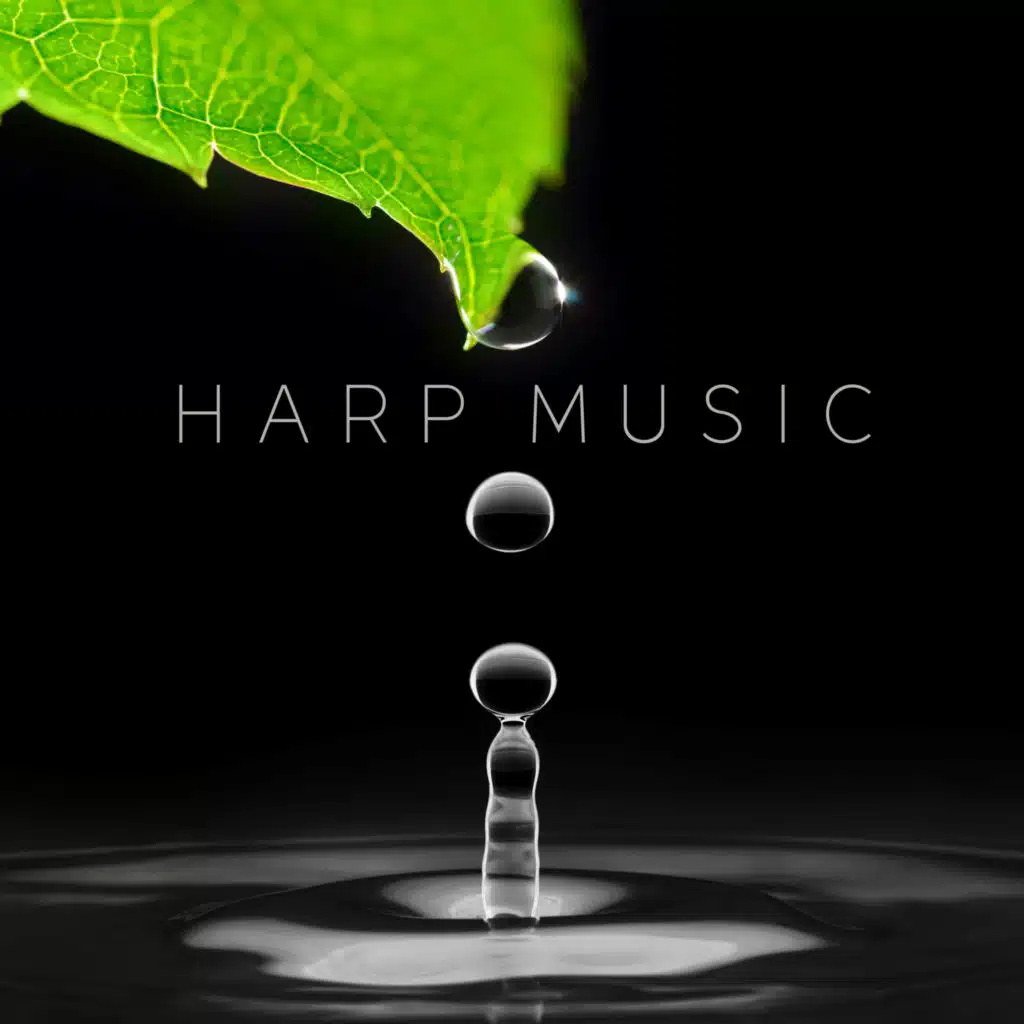 날아가는 꽃잎 (하프) (바람소리 ASMR)