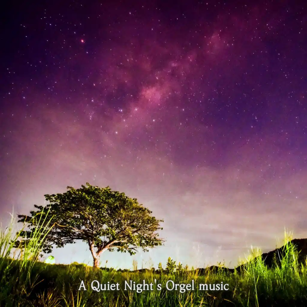 별빛송 (오르골) (밤풀벌레소리 ASMR)