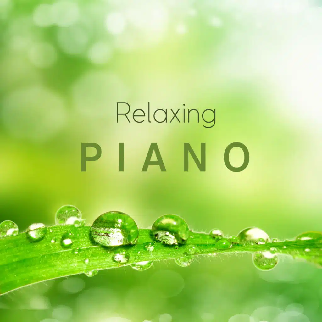 머리를 맑게 해주는 숲속의 피아노