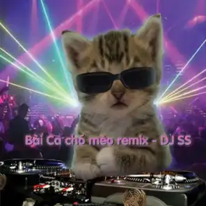 DJ SS