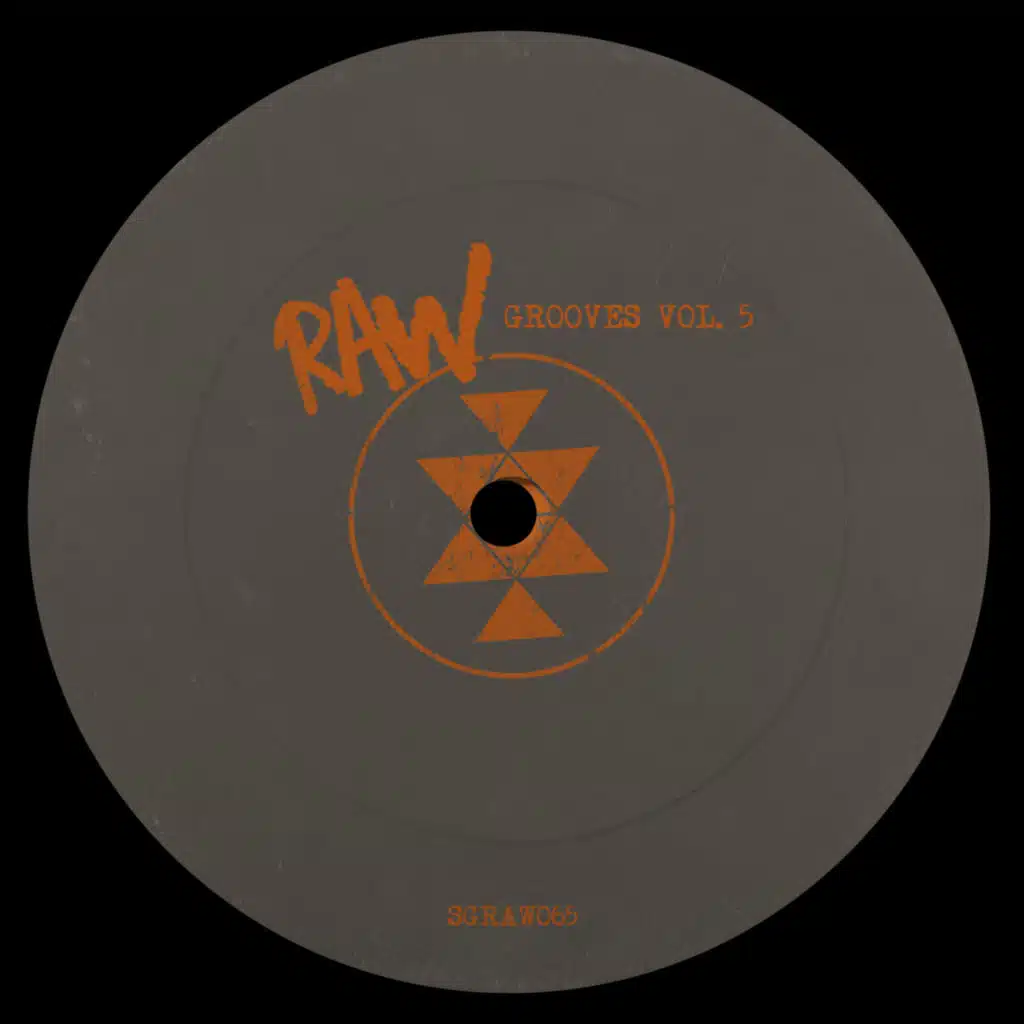 Raw Grooves, Vol.5