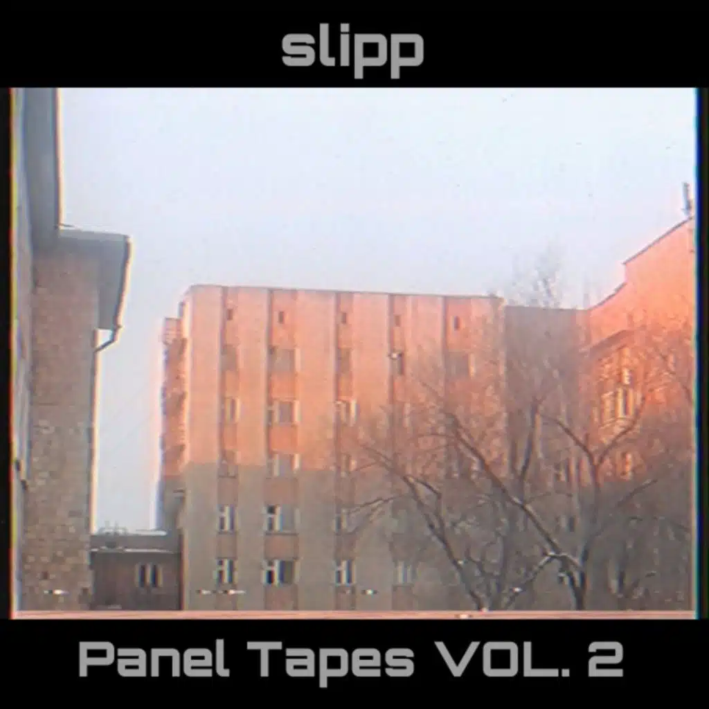 Panel Tapes (Vol. 2)