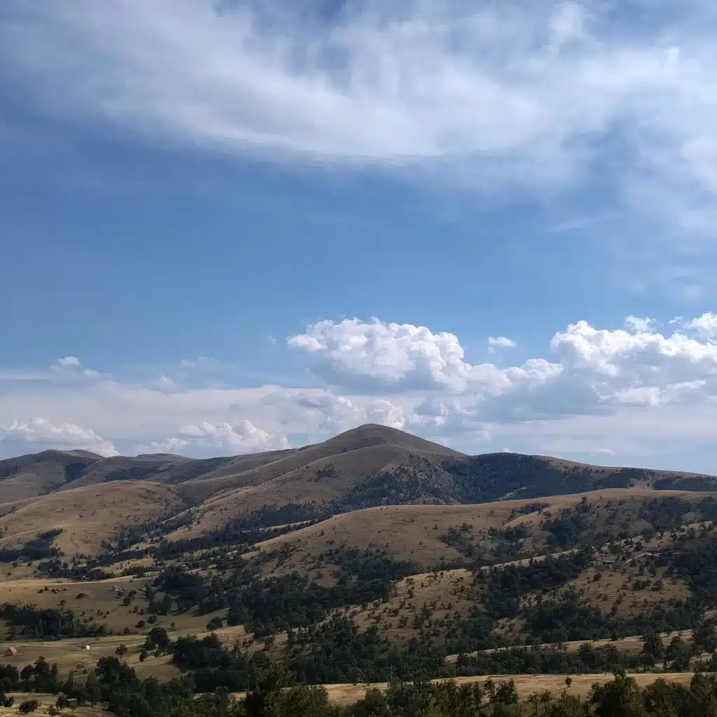 Not a World of Words