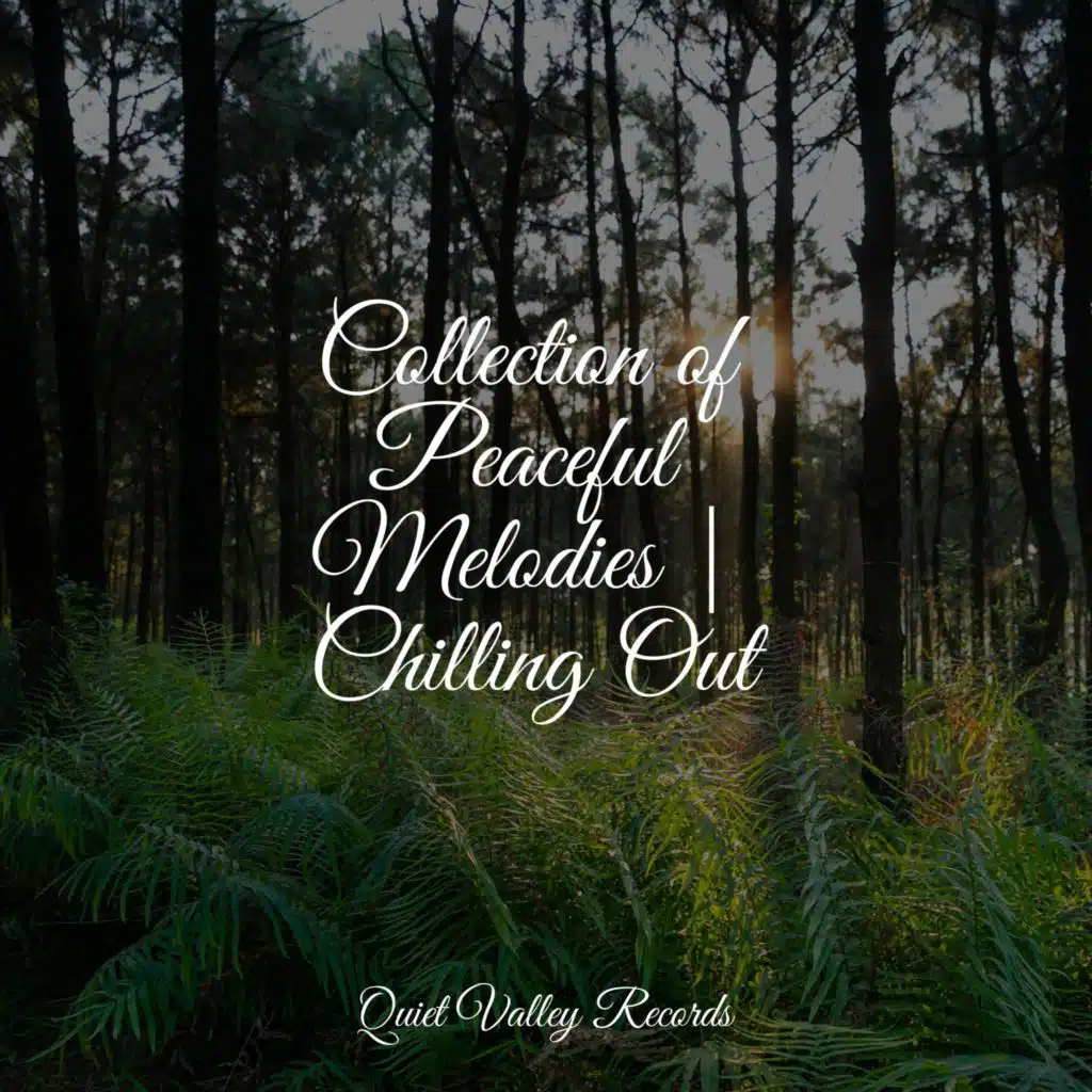 Collection of Peaceful Melodies | Chilling Out