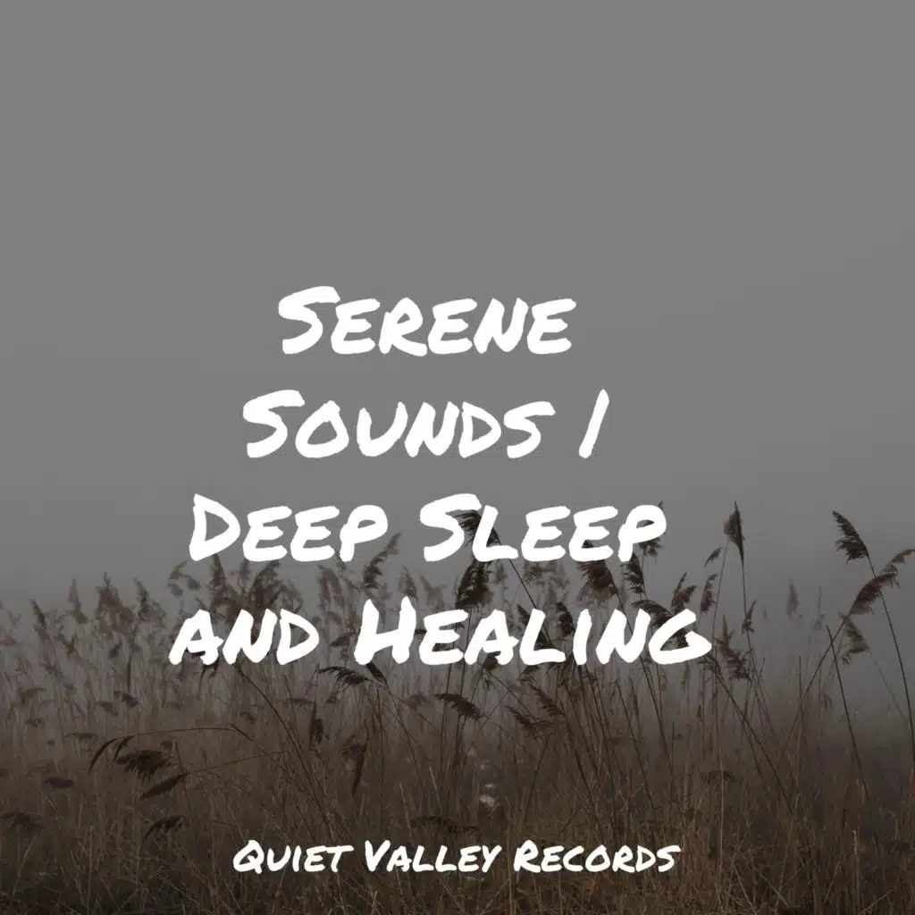Serene Sounds | Deep Sleep and Healing