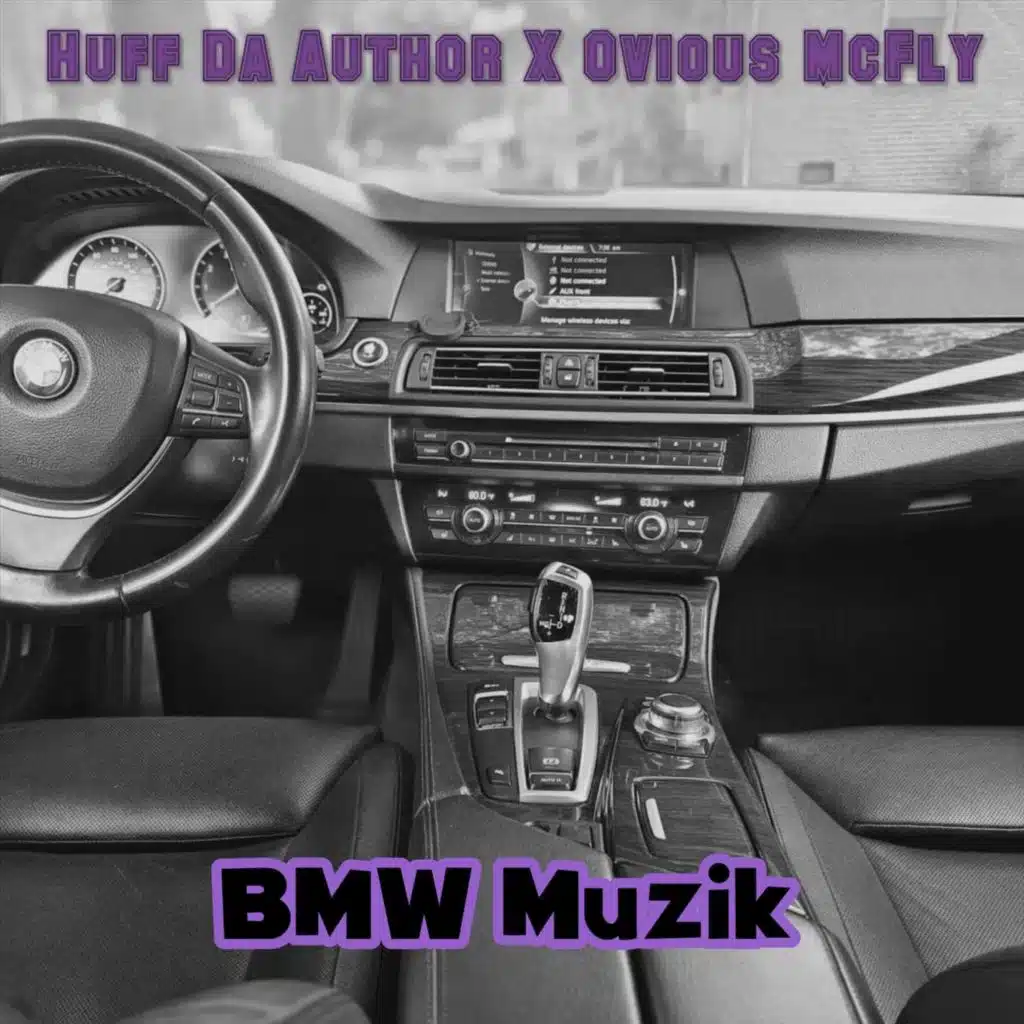 Bmw Muzik