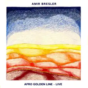 Amir Bresler