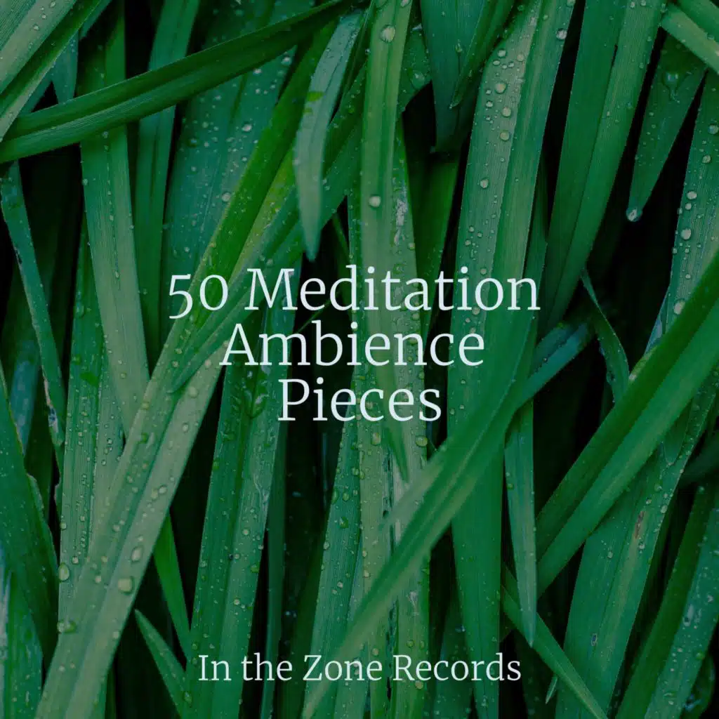 50 Meditation Ambience Pieces