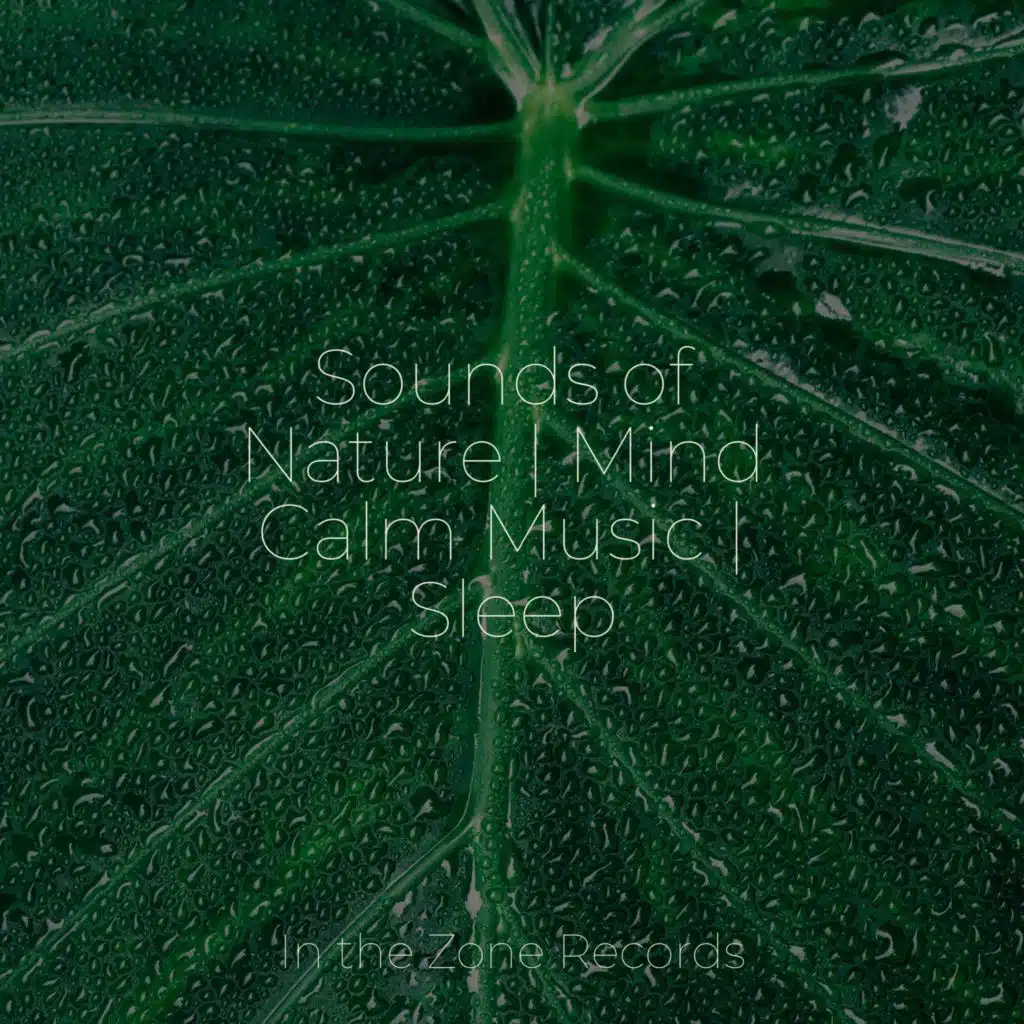 Sounds of Nature | Mind Calm Music | Sleep