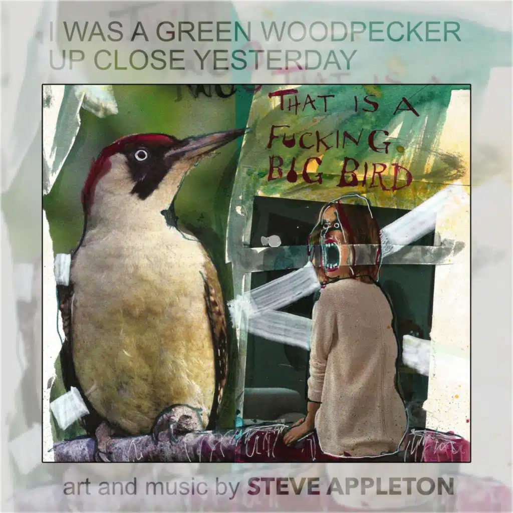 I Was A Green Woodpecker Up Close Yesterday