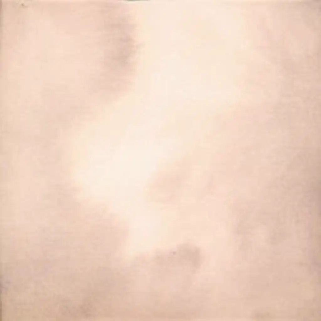 pearl, snake, bird, dawn