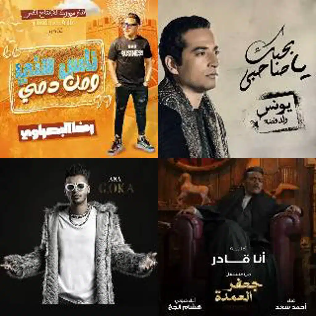 رضا البحراوي