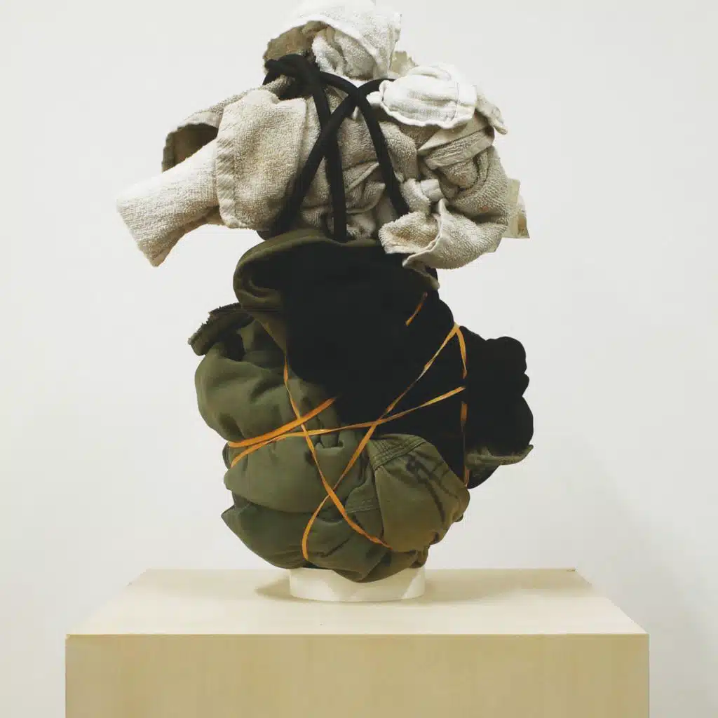 Arakajimekimerareta Koibitotachihe