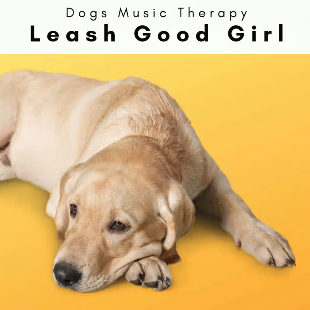 4 Dogs: Leash Good Girl