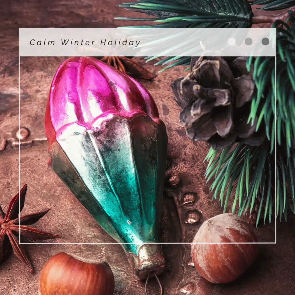 2023 Calm Winter Holiday