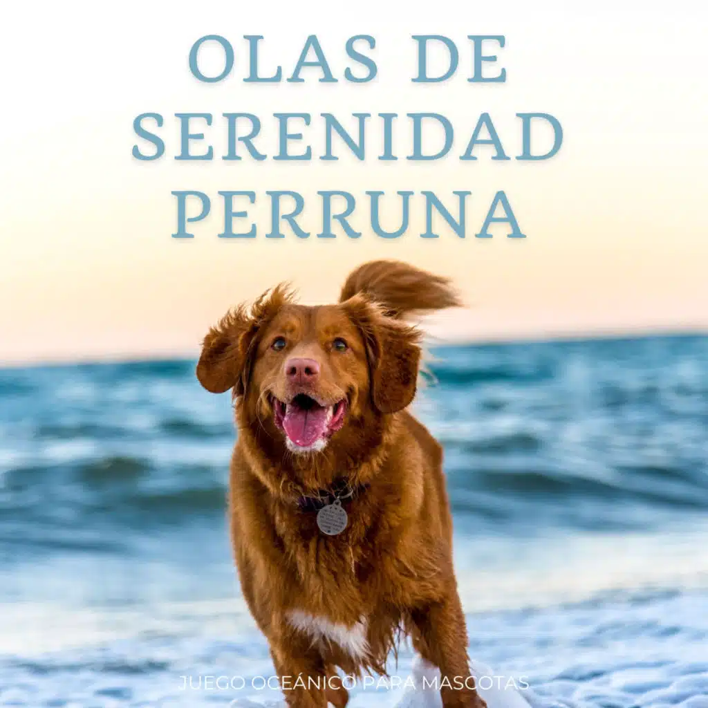 Olas De Serenidad Perruna: Juego Oceánico Para Mascotas