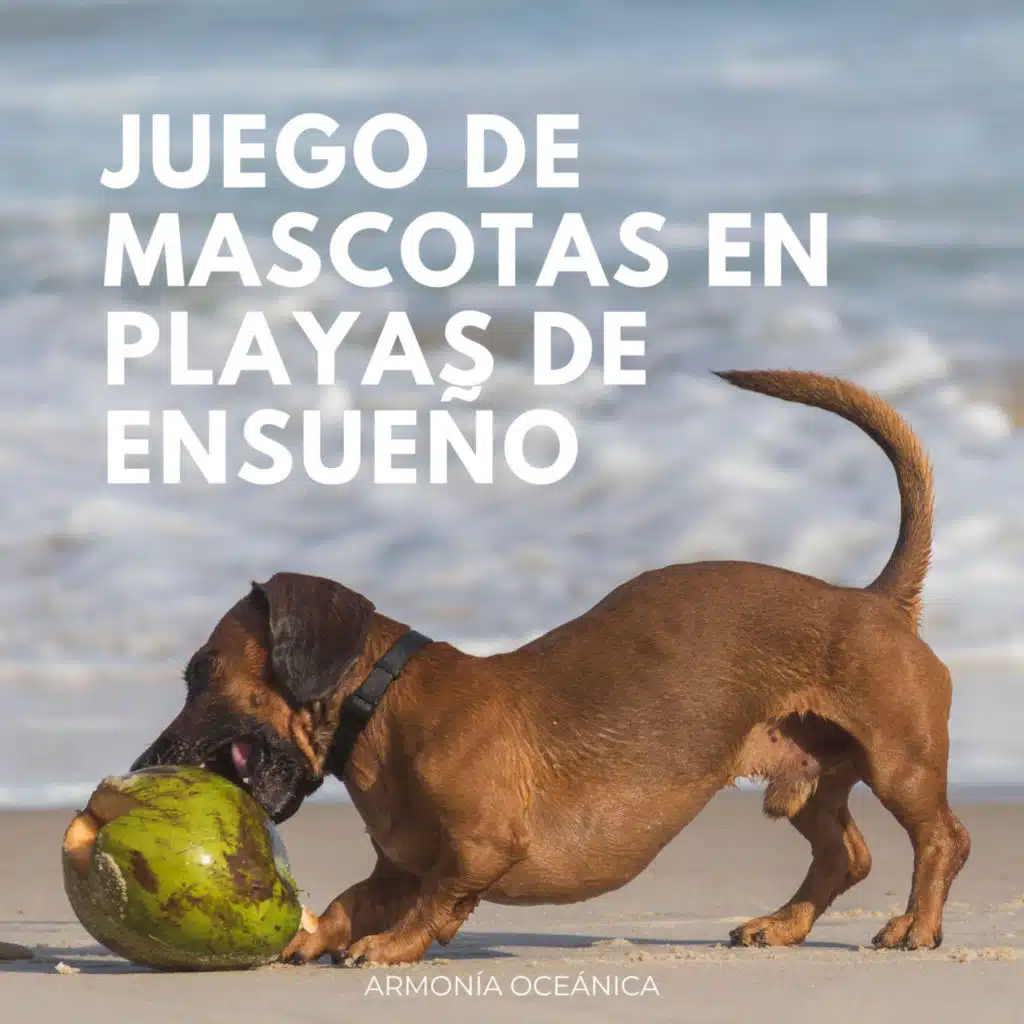 Juego De Mascotas En Playas De Ensueño: Armonía Oceánica