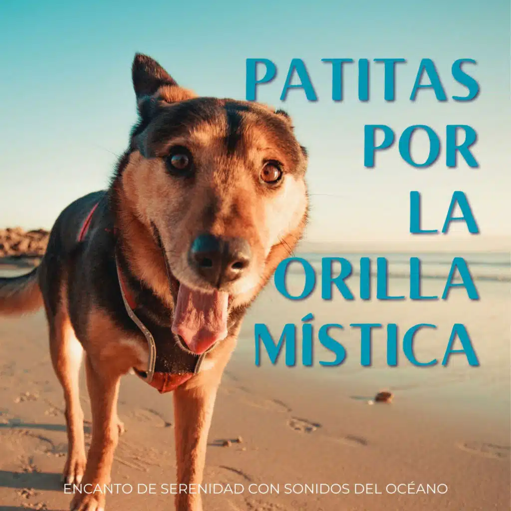 Patitas Por La Orilla Mística: Encanto De Serenidad Con Sonidos Del Océano