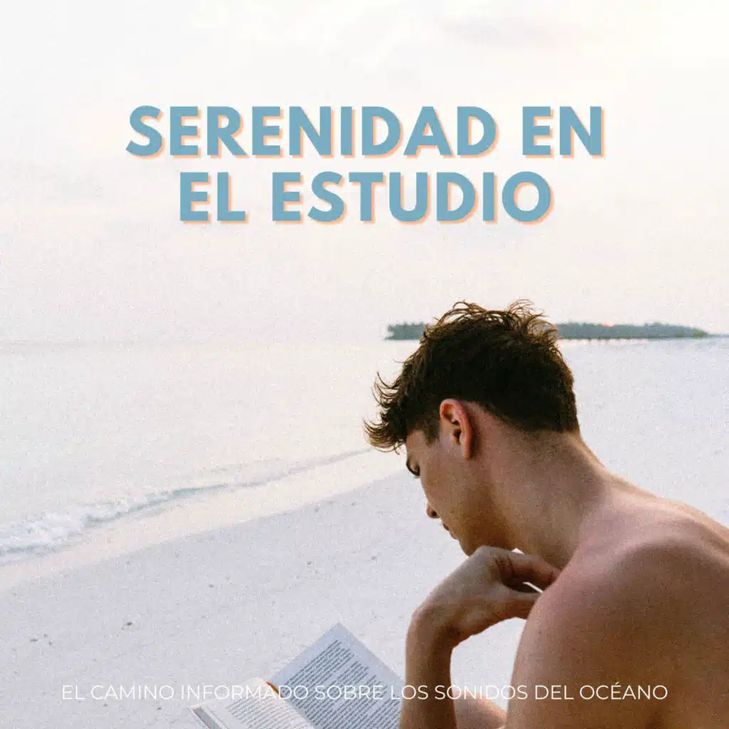 Serenidad En El Estudio: El Camino Informado Sobre Los Sonidos Del Océano