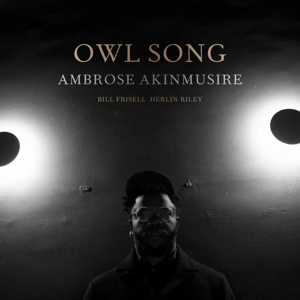 Owl Song 2 (feat. Bill Frisell & Herlin Riley)