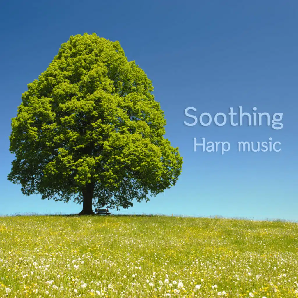 눈꽃송이 (하프)