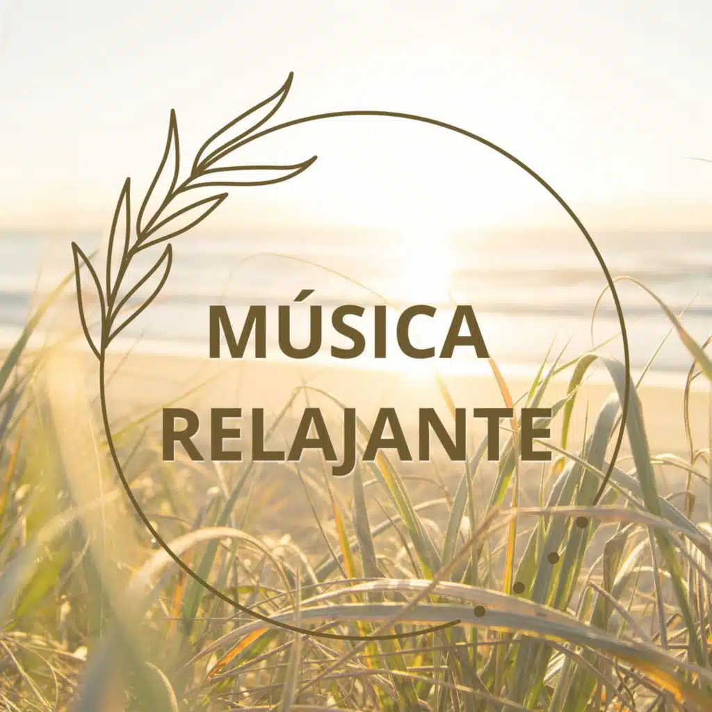 MÚSICA RELAJANTE