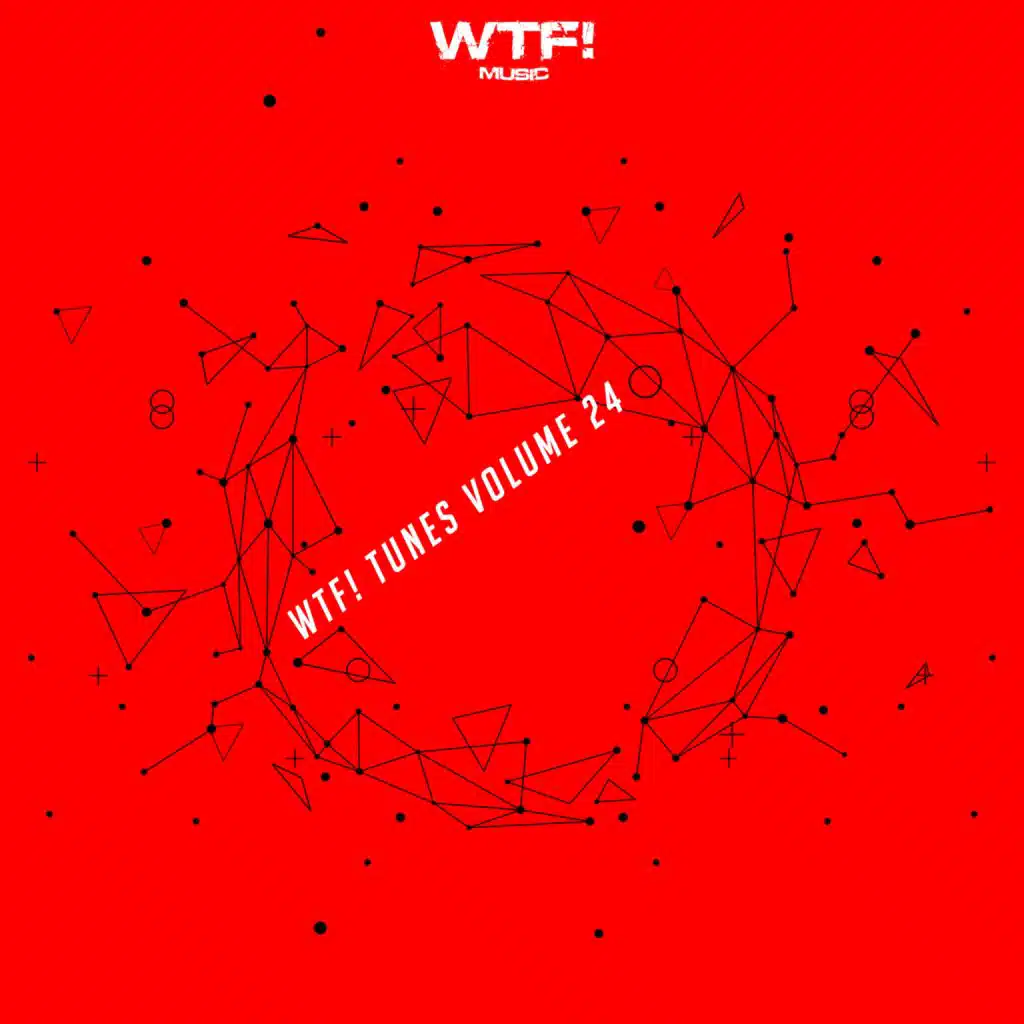 Wtf! Tunes, Vol. 24