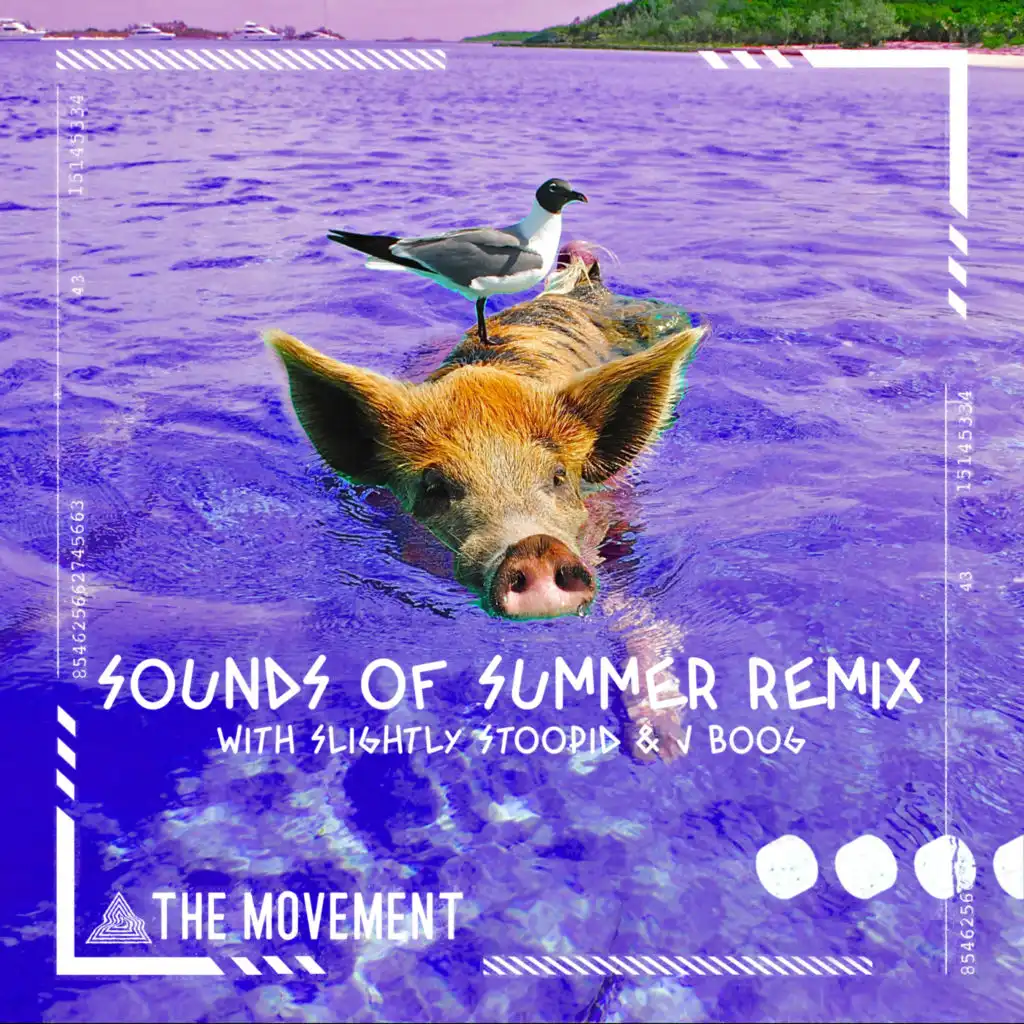 Sounds of Summer (Remix) [feat. Johnny Cosmic & Noah Cronin]