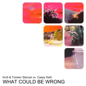 What Could Be Wrong (Sin Plomo Dub Mix)