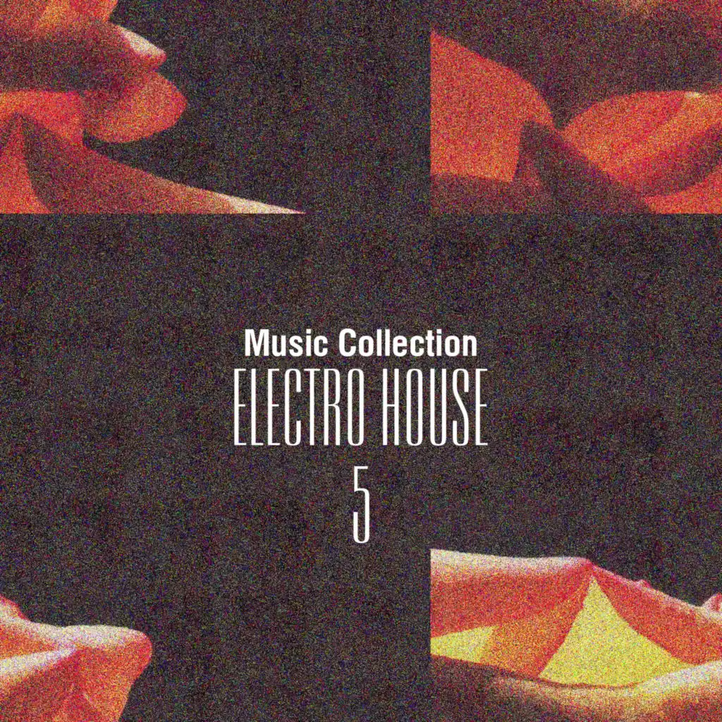 Music Collection. Electro House, Vol. 5