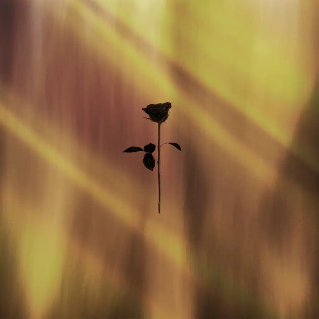 You & Me (feat. Eleonora)