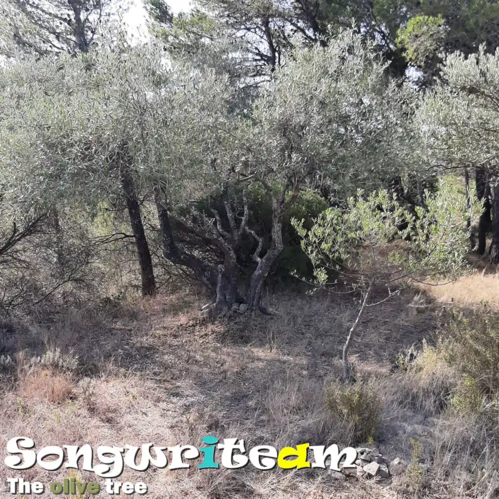 The olive tree (Instrumental)