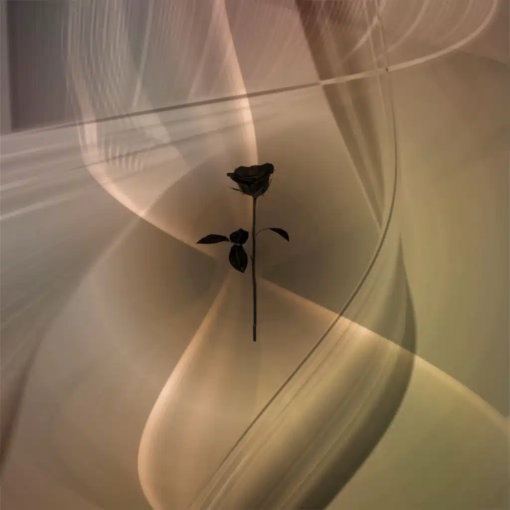 Alba (feat. Eleonora)