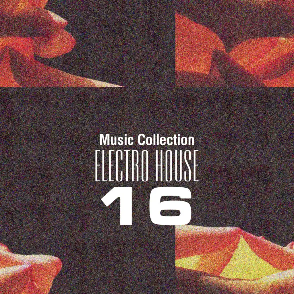 Music Collection. Electro House 16