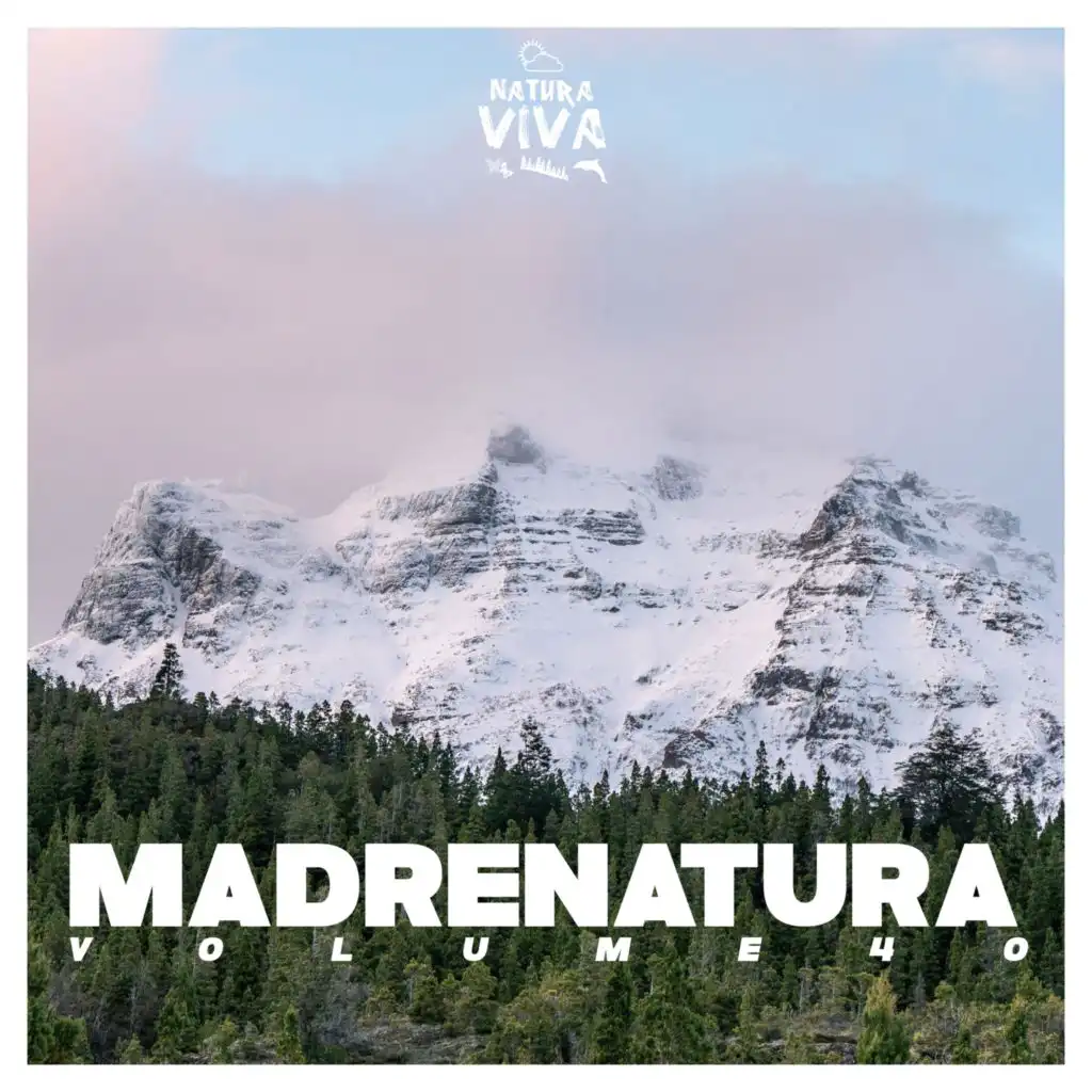 Discotico Desertico (Paulor Remix)