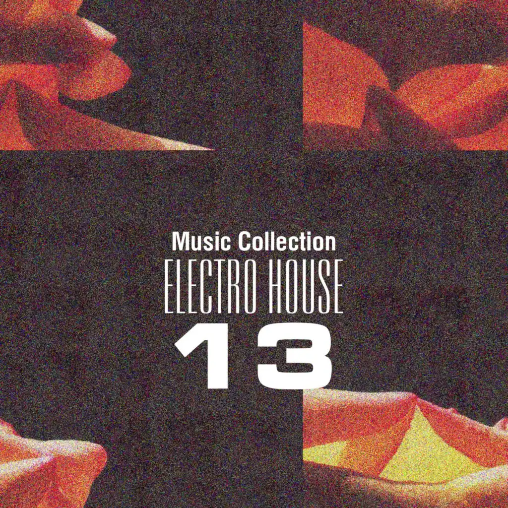 Music Collection. Electro House 13