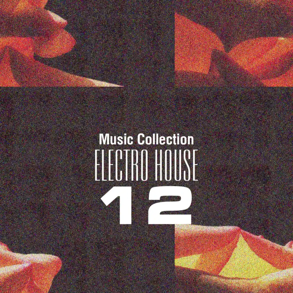 Music Collection. Electro House 12