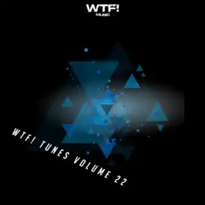 Wtf! Tunes, Vol. 22
