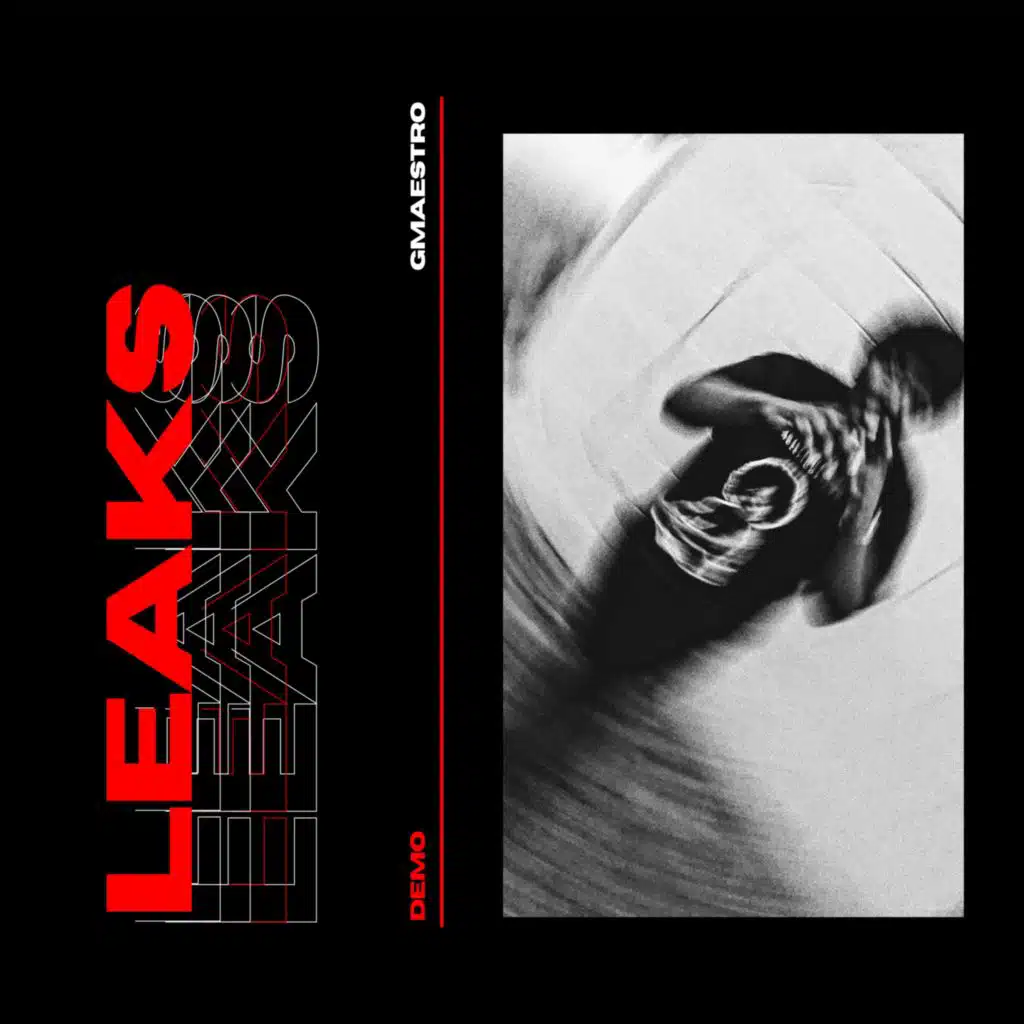 Leaks Demo