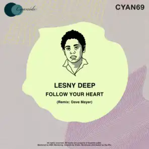 Follow Your Heart (Dave Mayer Instrumental Remix)