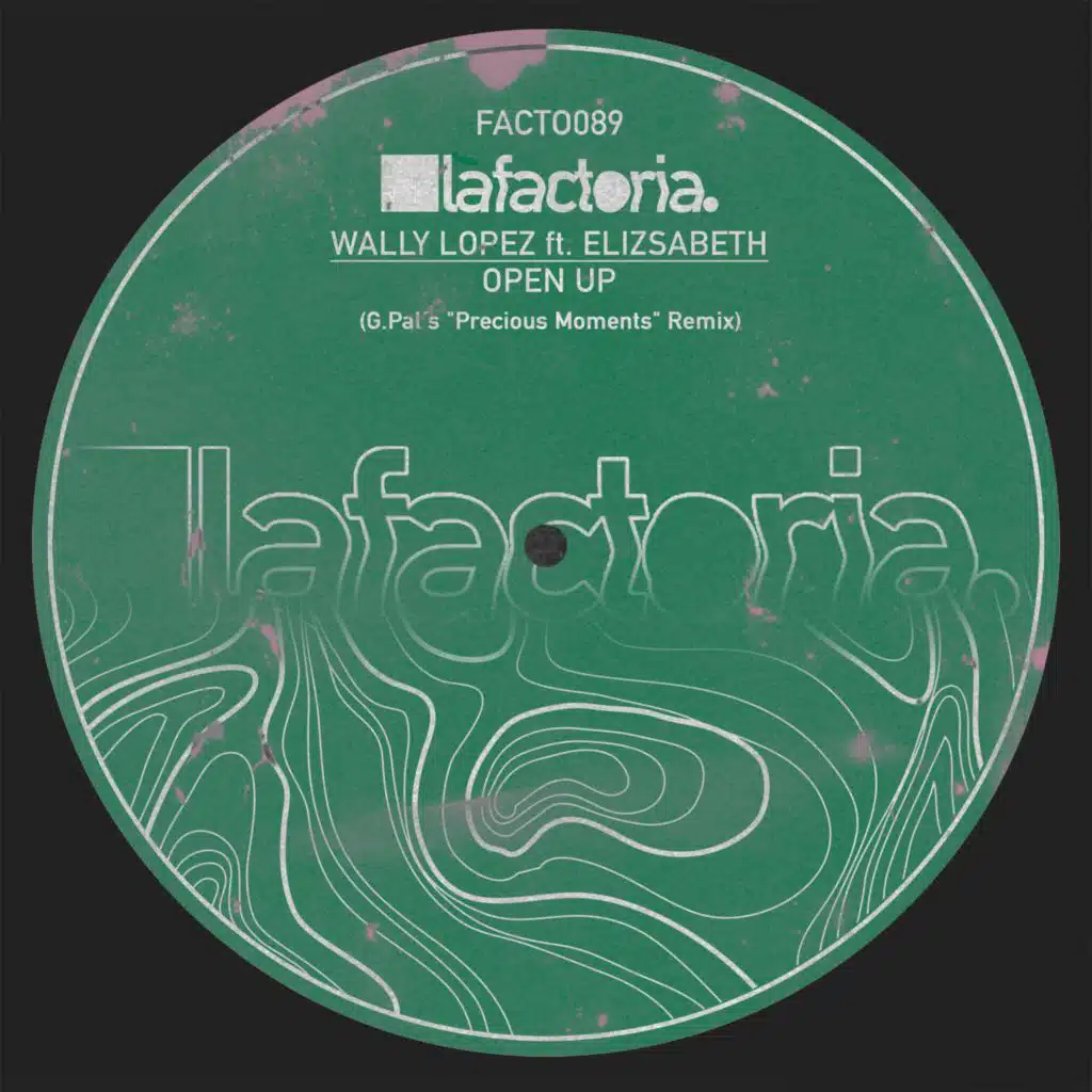 Open Up (G.Pal "Precious Moments" Remix) [feat. Elizsabeth]
