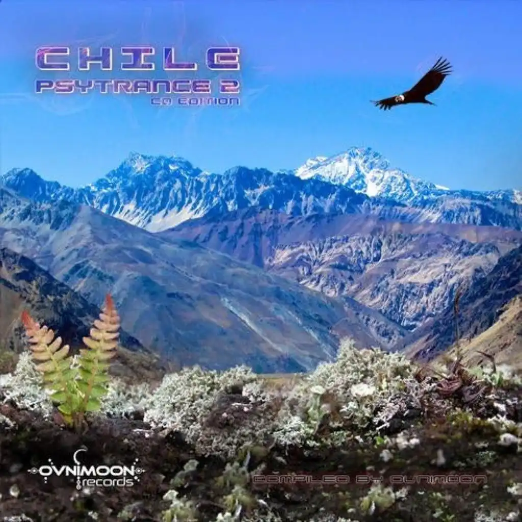 Chile Psytrance, Vol. 2 Compiled by Ovnimoon