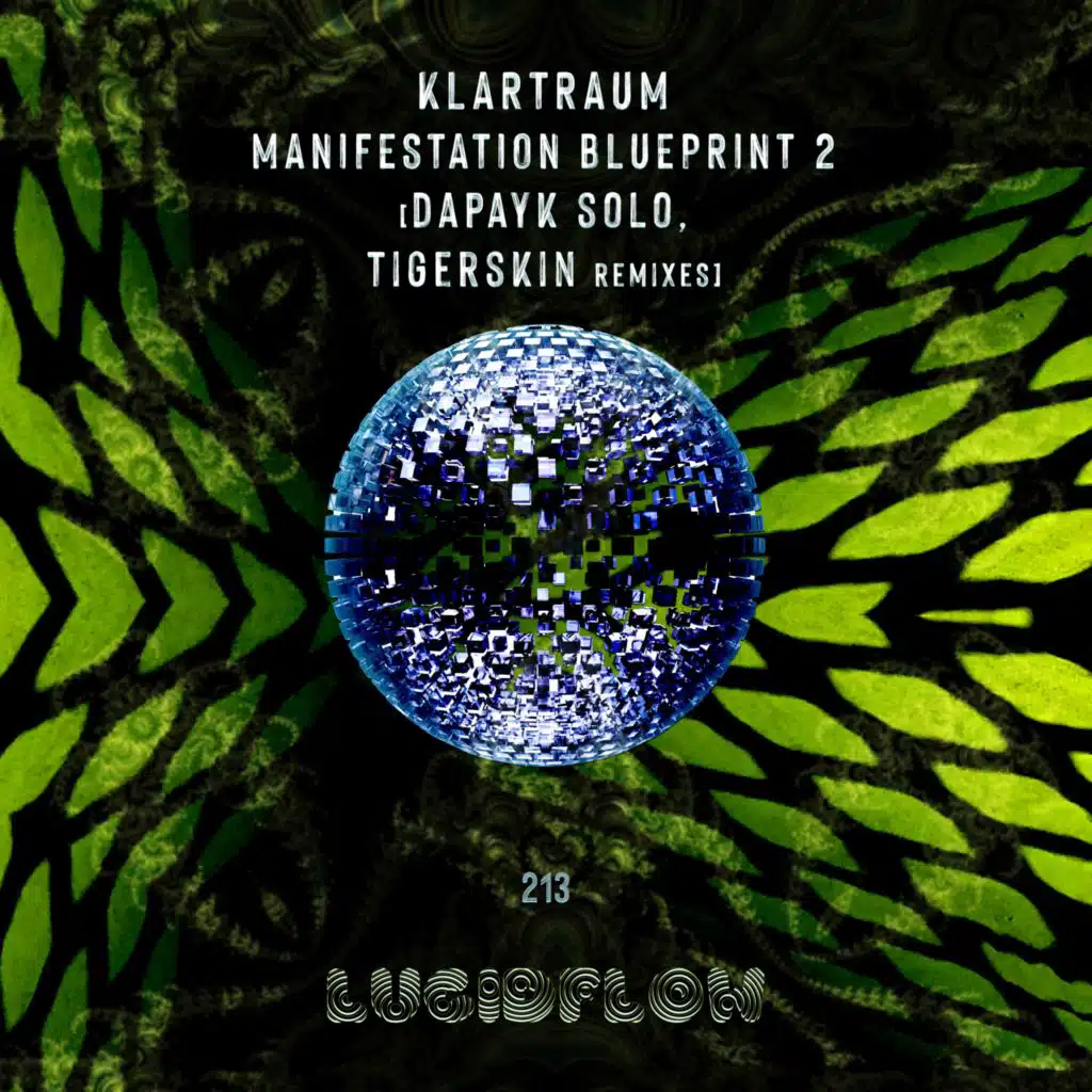 Manifestation (Dapayk Solo Remix)