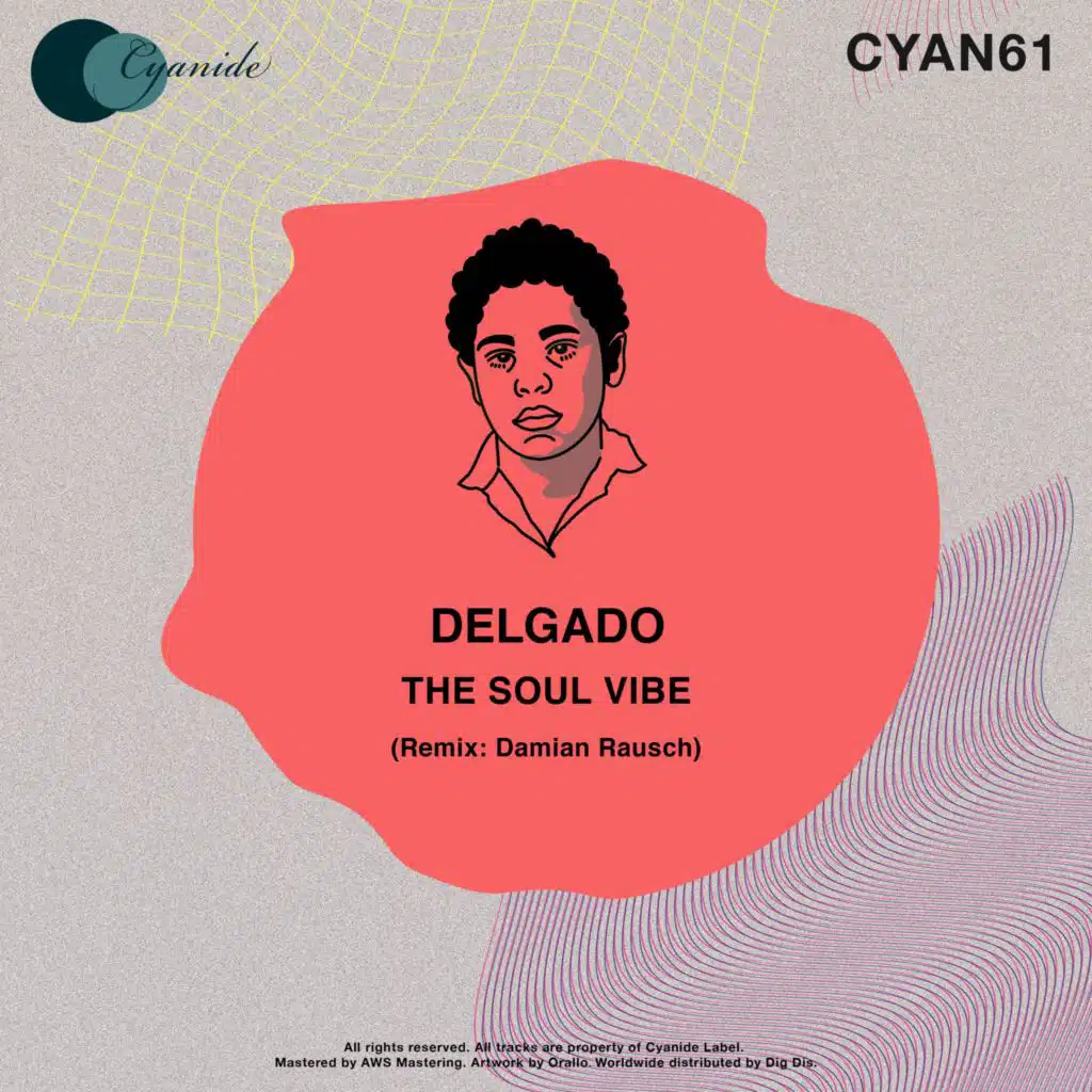 The Soul Vibe