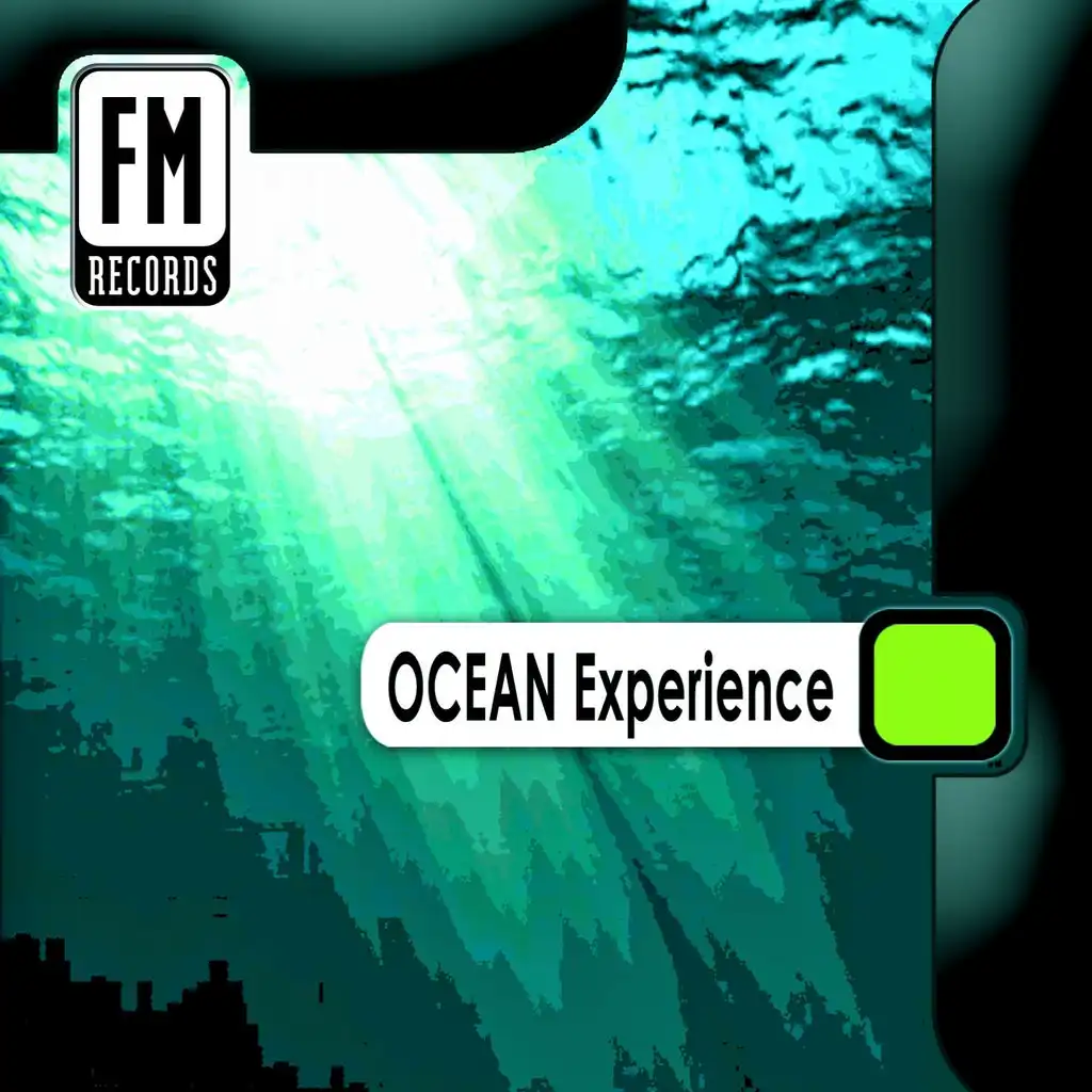 Ocean Experience