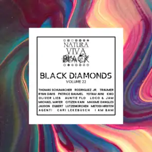 Black Diamonds, Vol. 22
