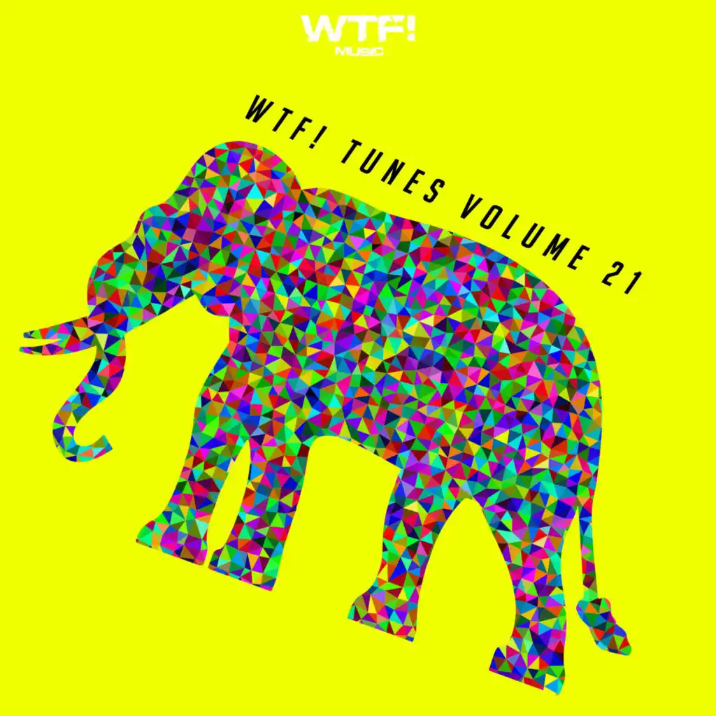 WTF! Tunes, Vol. 21